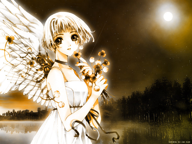 Angel wings girl moon flowers free wallpaper for desktop - medium preview image