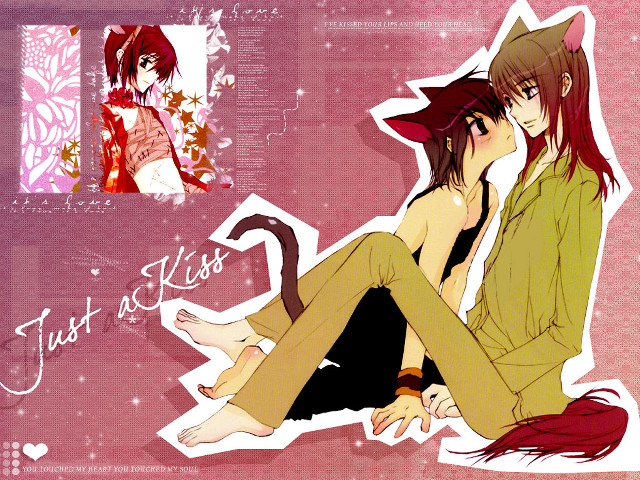 Anime couple pink background cat free wallpaper for desktop - medium preview image