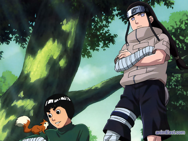 Forest bush tree squirrel animals free wallpaper for desktop - medium preview image