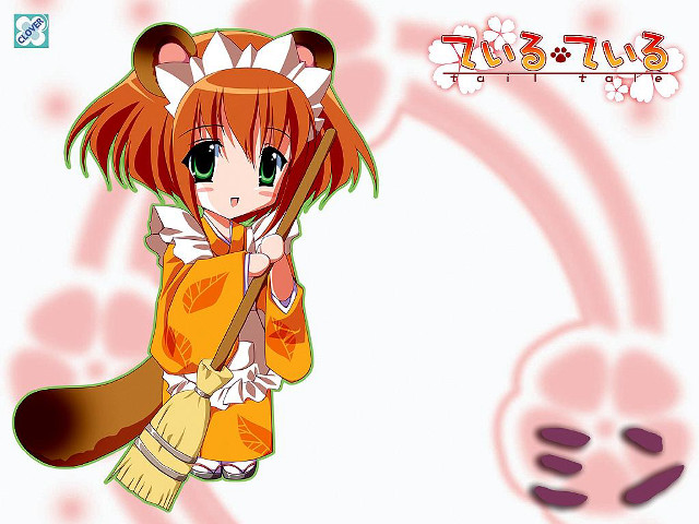 Anime girl cat ears orange free wallpaper for desktop - medium preview image