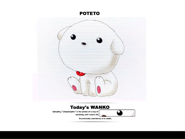 White dog red bowtie potatoto free wallpaper for desktop - medium preview image
