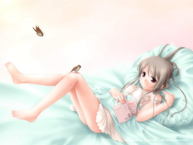 Woman bird bed anime dress free wallpaper for desktop - medium preview image