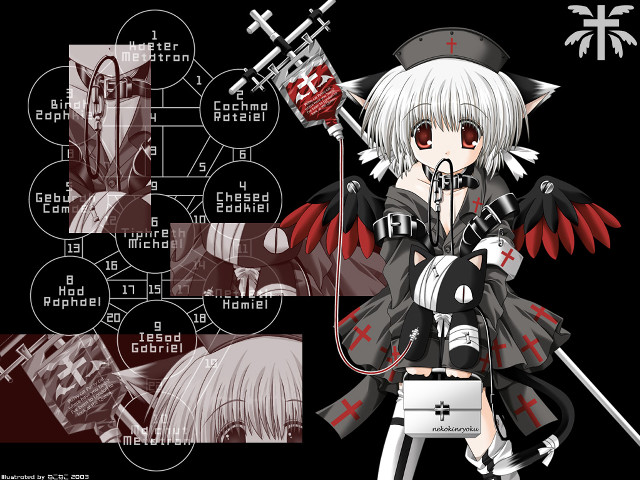 Anime character sword animal ears free wallpaper for desktop - medium preview image