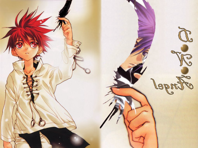 Person holding bird crow purple free wallpaper for desktop - medium preview image