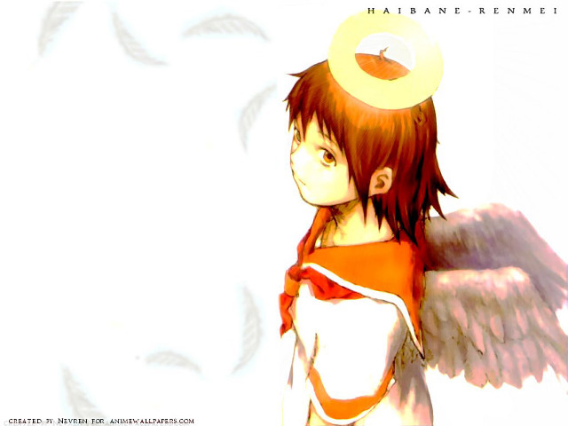 Angel halo wings dove school free wallpaper for desktop - medium preview image