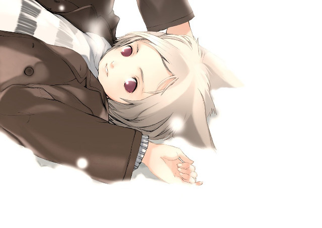 Furry anime man animalears brownjacket free wallpaper for desktop - medium preview image