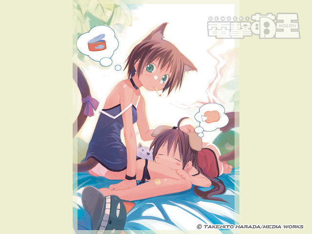 Anime girls bed animal ears free wallpaper for desktop - medium preview image