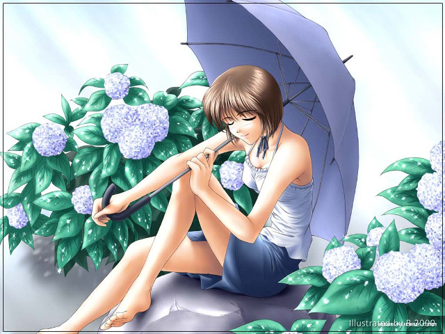 Woman sitting umbrella hydrangea flower free wallpaper for desktop - medium preview image