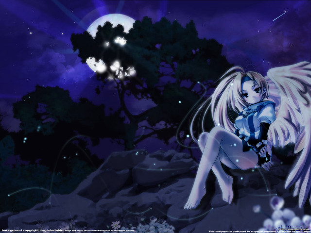 Girl wings night sky moon free wallpaper for desktop - medium preview image