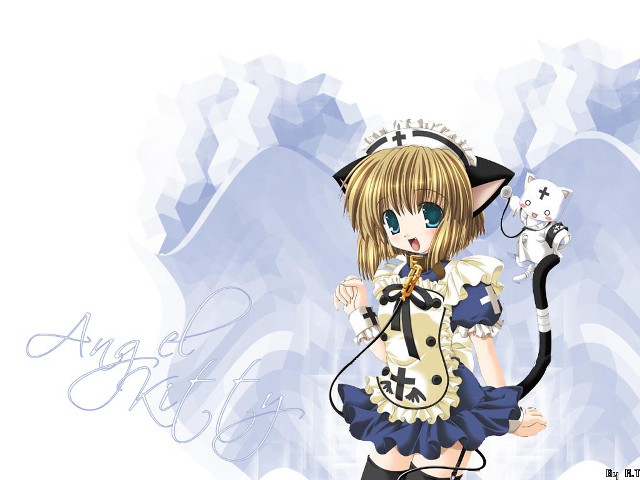 Alice prin cat costume maid free wallpaper for desktop - medium preview image
