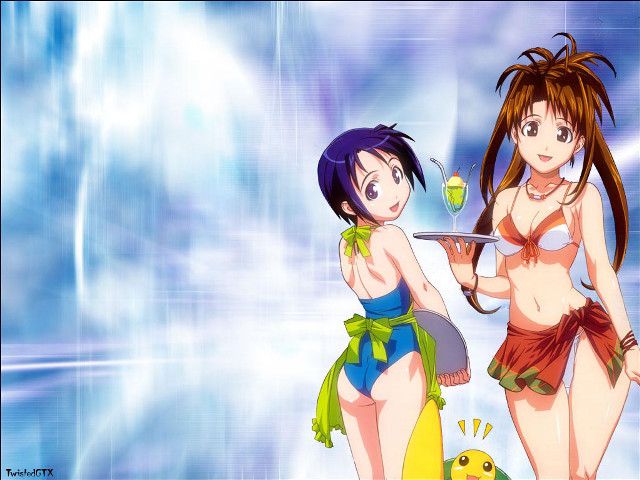 Two women bathing suits tray free wallpaper for desktop - medium preview image