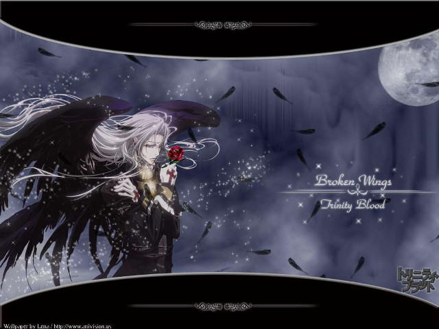 White haired woman crow fullmoon free wallpaper for desktop - medium preview image