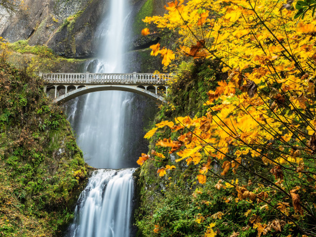 Bridge waterfall autumn scenery nature free wallpaper for desktop - medium preview image