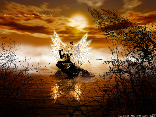 Angel wings sunset water gothic free wallpaper for desktop - medium preview image