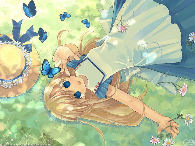 Flower field butterfly girl umbrella free wallpaper for desktop - medium preview image