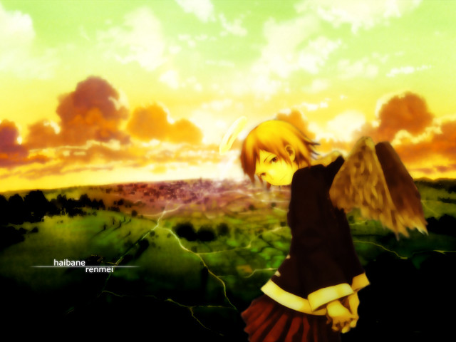 Girl bird field sunset anime free wallpaper for desktop - medium preview image