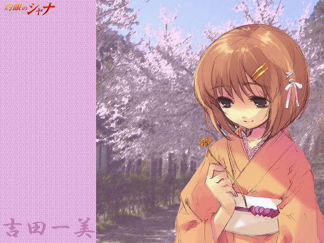 Kimono woman cherry blossoms outdoors free wallpaper for desktop - medium preview image