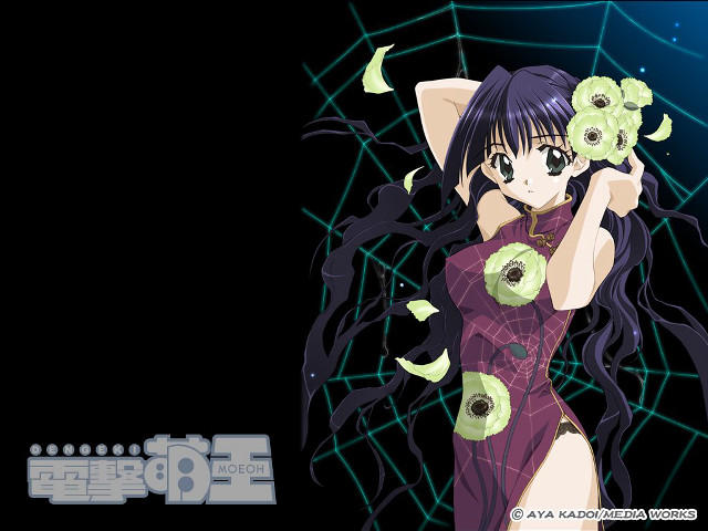 Purple dress green flower web #2 free wallpaper for desktop - medium preview image