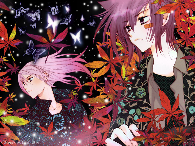 Anime leaves butterflies night sky free wallpaper for desktop - medium preview image