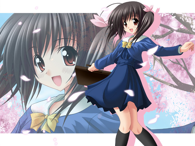 Blue dress pink background cherry free wallpaper for desktop - medium preview image