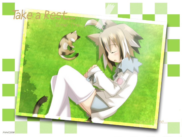 Grass sitting cat lap anime free wallpaper for desktop - medium preview image