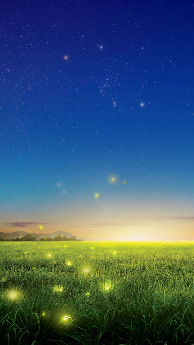 Field grass fireflies night sky free wallpaper for mobile - medium preview image