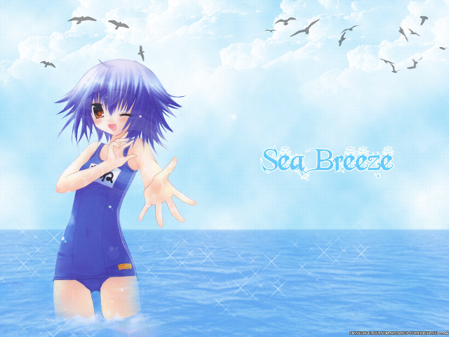 Girl blue swimsuit water birds free wallpaper for desktop - medium preview image
