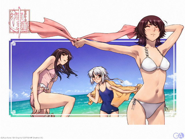 Beach bikini 3girls scarf ocean free wallpaper for desktop - medium preview image