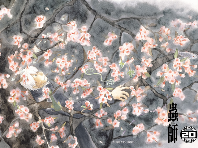 Man sitting on branch cherry free wallpaper for desktop - medium preview image