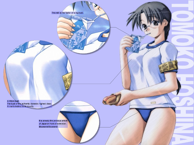 Woman bikini blue shirt sandals free wallpaper for desktop - medium preview image