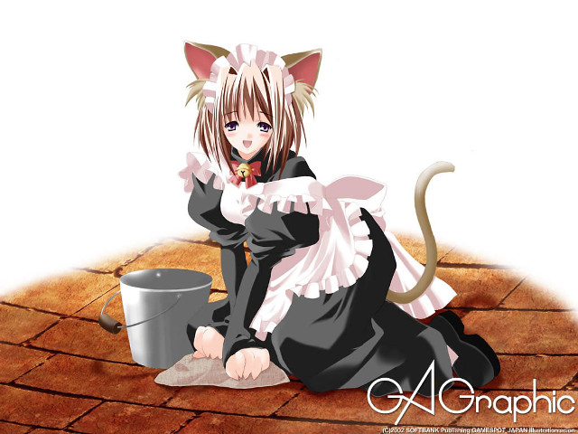 Cat girl coffee mug aya free wallpaper for desktop - medium preview image