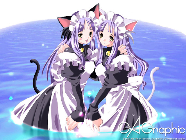 Anime girls cat costumes water free wallpaper for desktop - medium preview image