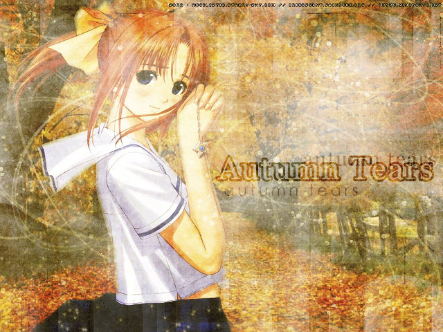 Girl forest autumn blueeyes ponytail free wallpaper for desktop - medium preview image