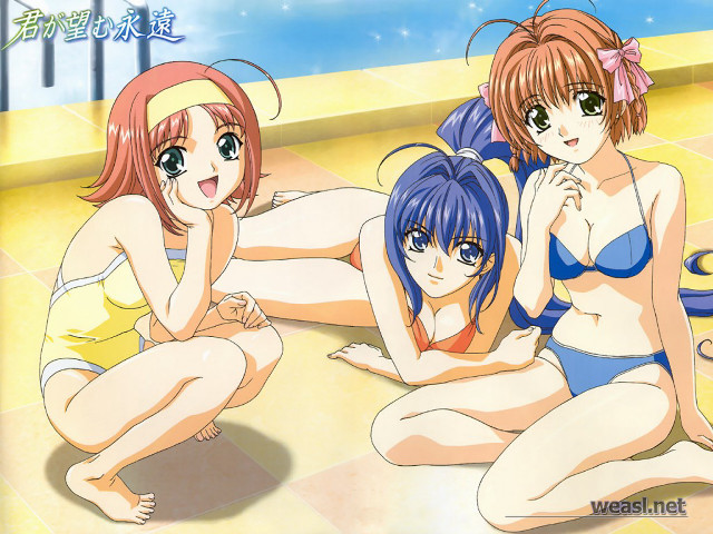 Three anime girls beach bikinis free wallpaper for desktop - medium preview image