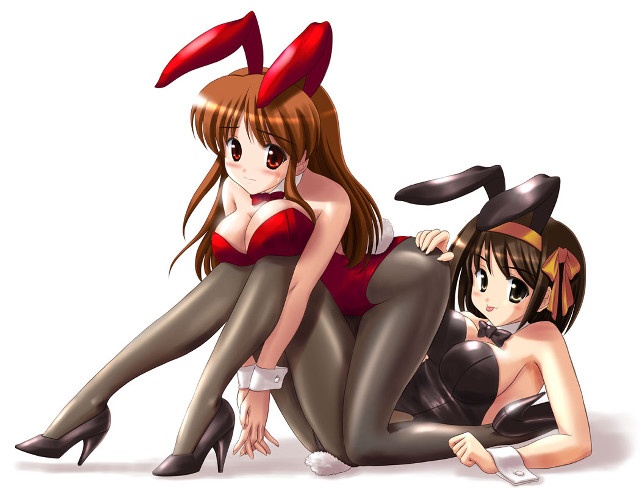 Anime girls bunny ears furry free wallpaper for desktop - medium preview image