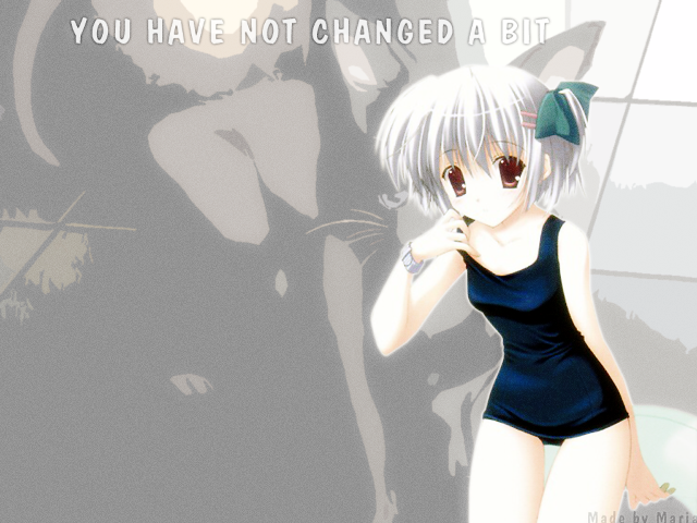 Alice prin manga anime cat free wallpaper for desktop - medium preview image