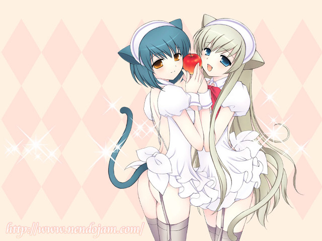 Anime girls hugging cat argyle free wallpaper for desktop - medium preview image