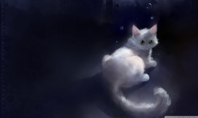 White cat black background water free wallpaper for desktop - medium preview image