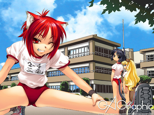 Anime girls building furry cats free wallpaper for desktop - medium preview image
