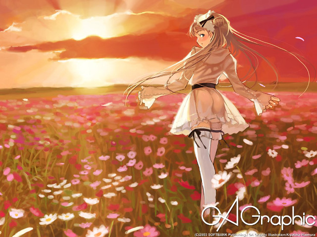 Girl flower field sunset blonde free wallpaper for desktop - medium preview image
