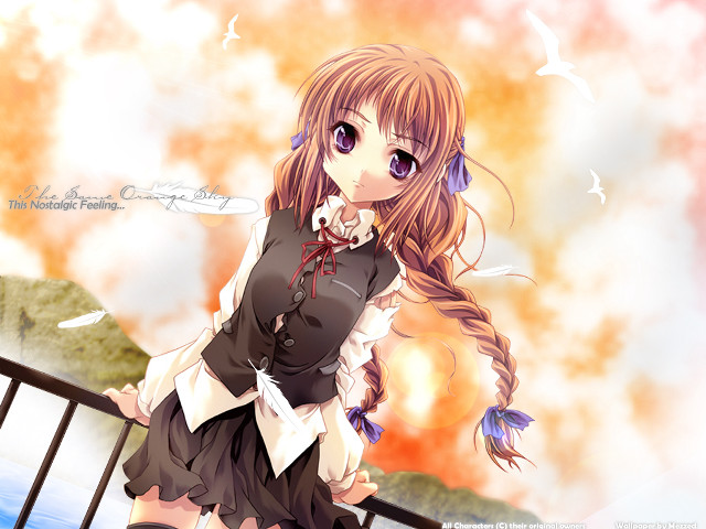 Long hair girl bridge bird free wallpaper for desktop - medium preview image