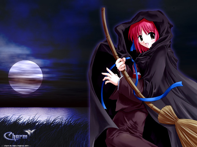 Black cloak woman broom moon free wallpaper for desktop - medium preview image