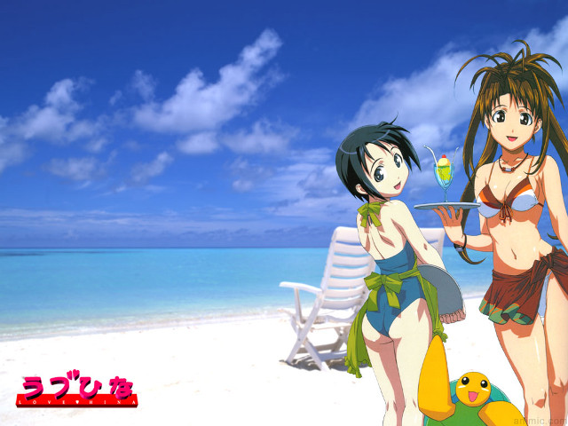 Beach girls duck sand bikini free wallpaper for desktop - medium preview image