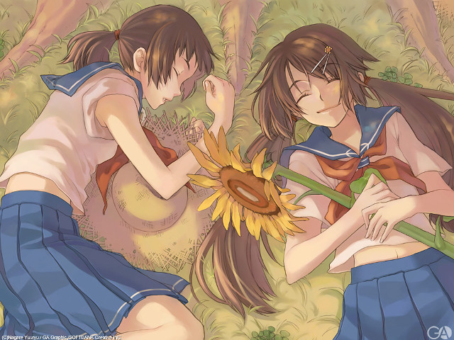 Sunflower sisters anime girls field free wallpaper for desktop - medium preview image