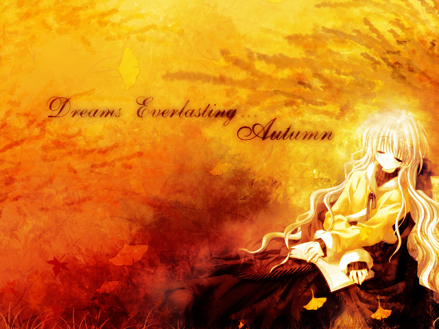 Woman bench field book autumn free wallpaper for desktop - medium preview image