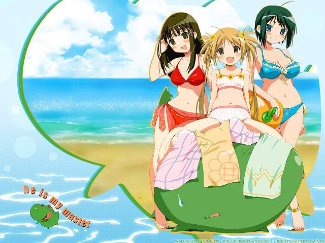 Three girls beach birthday bikini free wallpaper for desktop - medium preview image