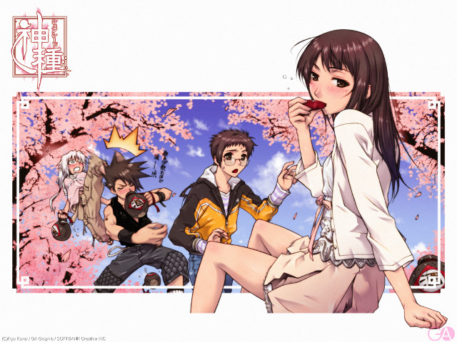 Girl bench cherry blossoms spring free wallpaper for desktop - medium preview image