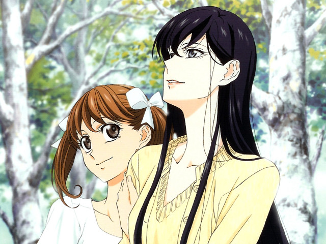 Couple forest bloom bokeh blurry free wallpaper for desktop - medium preview image