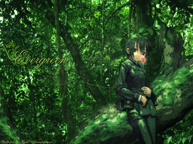 Green girl forest flower bamboo free wallpaper for desktop - medium preview image