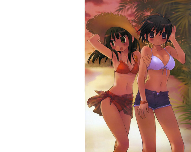 Two women beach palm trees free wallpaper for desktop - medium preview image